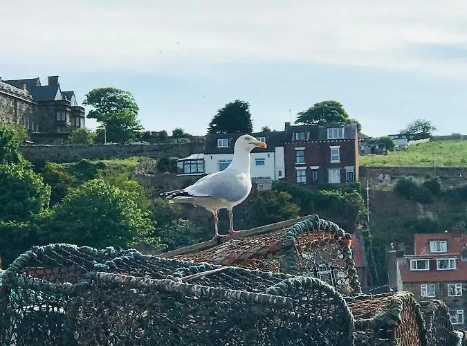 Riverview With Private Parking Apartment *